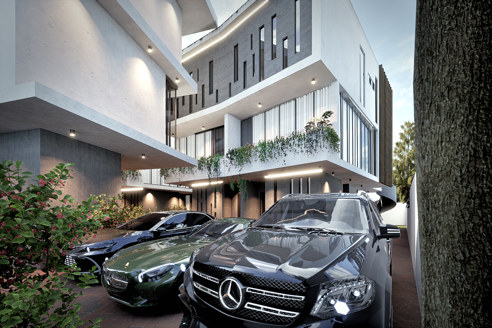 Wonder Court project view